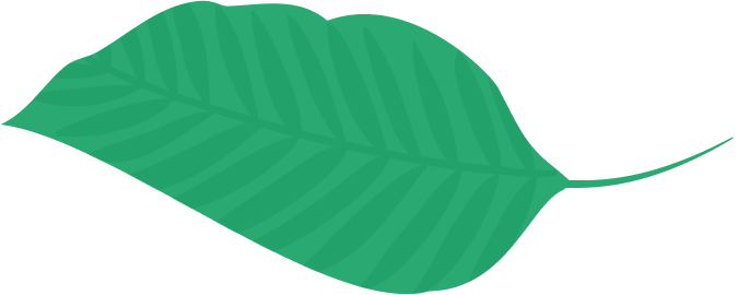 Leaf Icon 1
